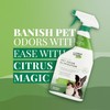 Citrus Magic Pet Odor Eliminator, 22 fl oz (Pack of