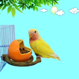 WAYUTO 2Pcs Bird Feeding Dish Cups with Fruit Shaped Textures, for Small Birds like Chinchilla, Budgie, Parakeet, Parrotlet, Cockatiel, Lovebird, African Grey, etc.
