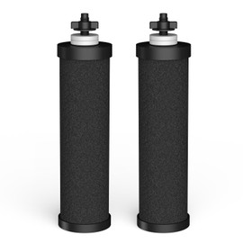 Lifefilter Replacement for BB9-2 Black Purification Water Filter, Compatible with Berkey® BB9-2 Black Filters and Berkey® Gravity Water Filter System, Reduces Lead, Chlorine and More,2 Pack