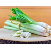 NIKA SEEDS - Seeds Herb Lemongrass - 50 Seeds