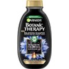 Garnier Botanic Therapy Magnetic Charcoal Shampoo 250 ml