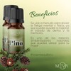 MEVA Esencias para Difusores y Humidificadores de Aromas 5ml Varios