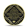 1 Year Phoenix Sobriety Coin – Rebirth in Flames Recovery