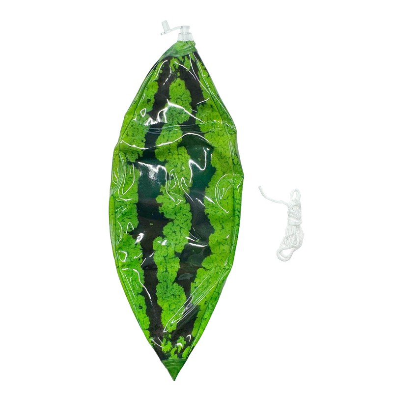 Iridashi Real Watermelon Balloon