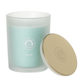 Sullvans Vance Kitira Scented Candle, Single Wick Jar Candles| 80 Hour Burn Time, 15.87 Oz Cactus & Lemon Scent | Capiz Sea Foam Green, Long-Lasting Aromatic Glass Candle for Home Décor & Gifts