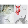 Horse Christmas Cards - Pack of 20 - Two Designs