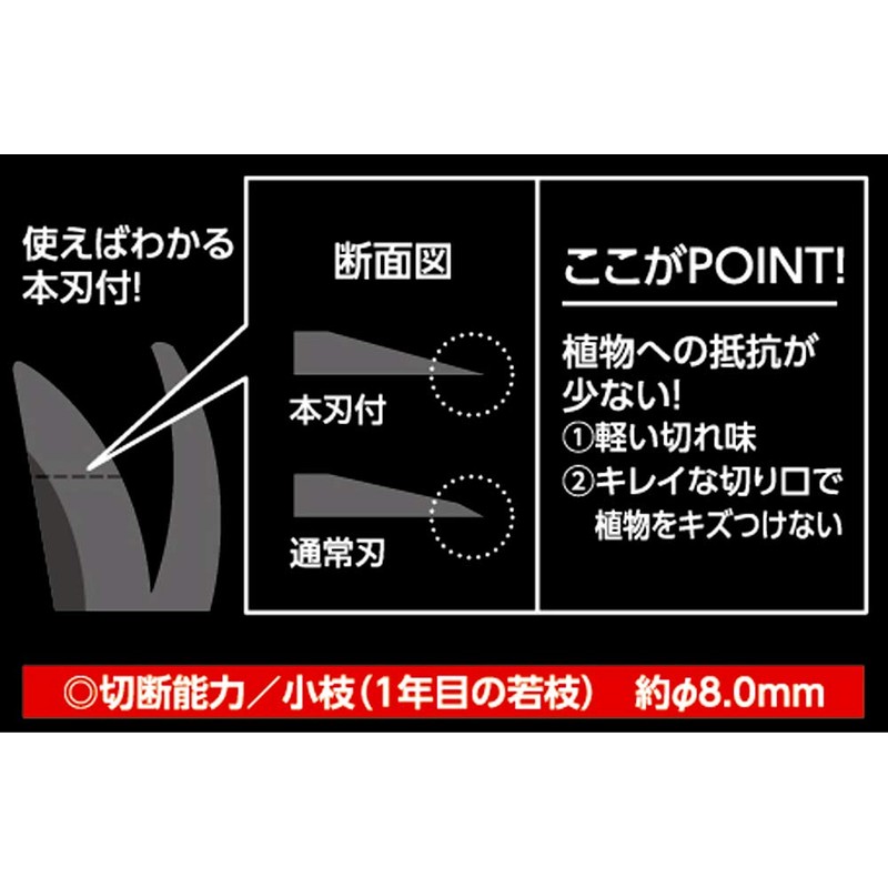 Takagi Stainless Steel Flower Pruning Scissors With Main Blade 6.5