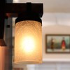 Eumyviv Frosted Glass Lamp Shade with Crackle Finish, 2 Pack