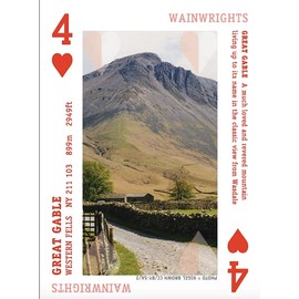 Hillbaggers Playing Cards: Top 52