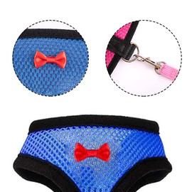 Tezuyok 4 Pcs Chicken Harness and Leash for Hens Funny Chicken Accessories Comfortable Hen Vest Breathable Mesh Chicken Accessories for Hens