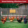 Automatic Chicken Waterer System Complete Set Pipeline Poultry Water Feeder