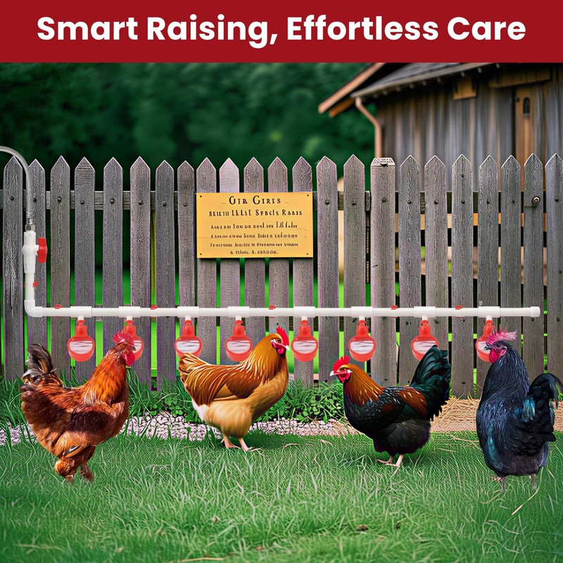 Automatic Chicken Waterer System Complete Set Pipeline Poultry Water Feeder