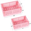 Tixill 2-Pack Mini Foldable Plastic Baskets for Organizing and Storage,
