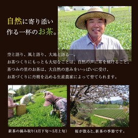 Tea Tsumi no Sato Organic Sannen Bancha Tea Bag (0.09 oz (2.5 g) x 35 Packets with Thread Tea Pack