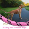 Codepets Nylon Dog Leash 6FT 10FT 20FT 30FT Diameter 2/5