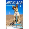 UNA MASCOTA Collar para Perros de Moda y Confort -