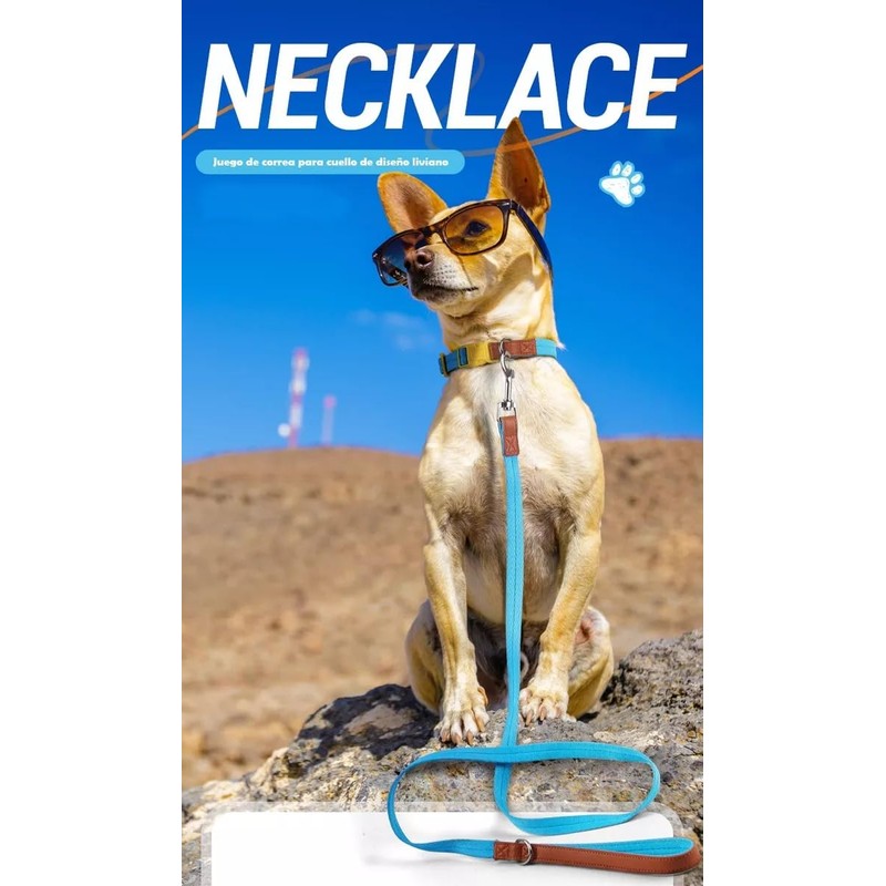 UNA MASCOTA Collar para Perros de Moda y Confort -