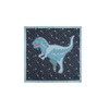 Coach SHOOTING STAR REXY PRINTED SILK SQUARE