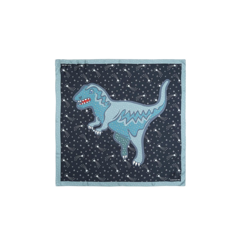 Coach SHOOTING STAR REXY PRINTED SILK SQUARE