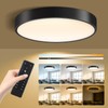 Lightania 13 Inch Flush Mount Ceiling Light with Remote Control