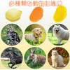 犬猫用シャンプー ブラシ ペットブラシ お風呂用 マッサージ ブラシペット入浴ブラシ シャンプー入れる 多機能ブラシ 柔らかい 泡立て