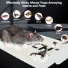 16 Pack Mouse Glue Trap,Mouse Traps Indoor for Home,Adhesive Bugs
