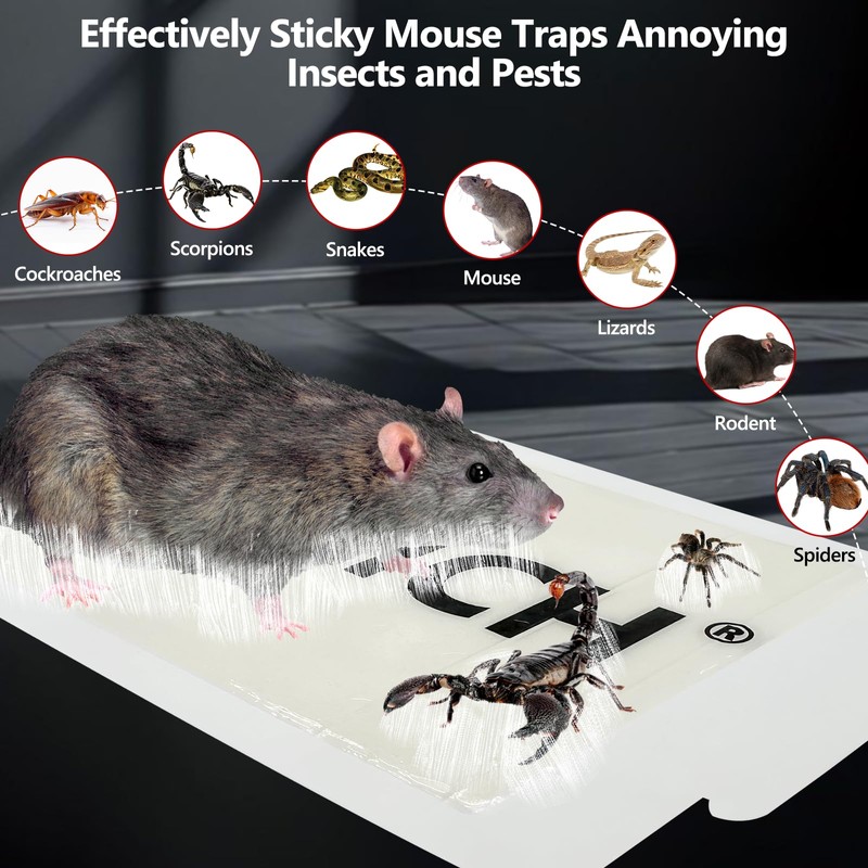 16 Pack Mouse Glue Trap,Mouse Traps Indoor for Home,Adhesive Bugs