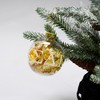 Sorority Shop Gamma Phi Beta Ornament - 8cm Clear Plastic
