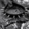 BaBakiak Spiky Leather Headband Punk, Emo Headband for Women, Spiked