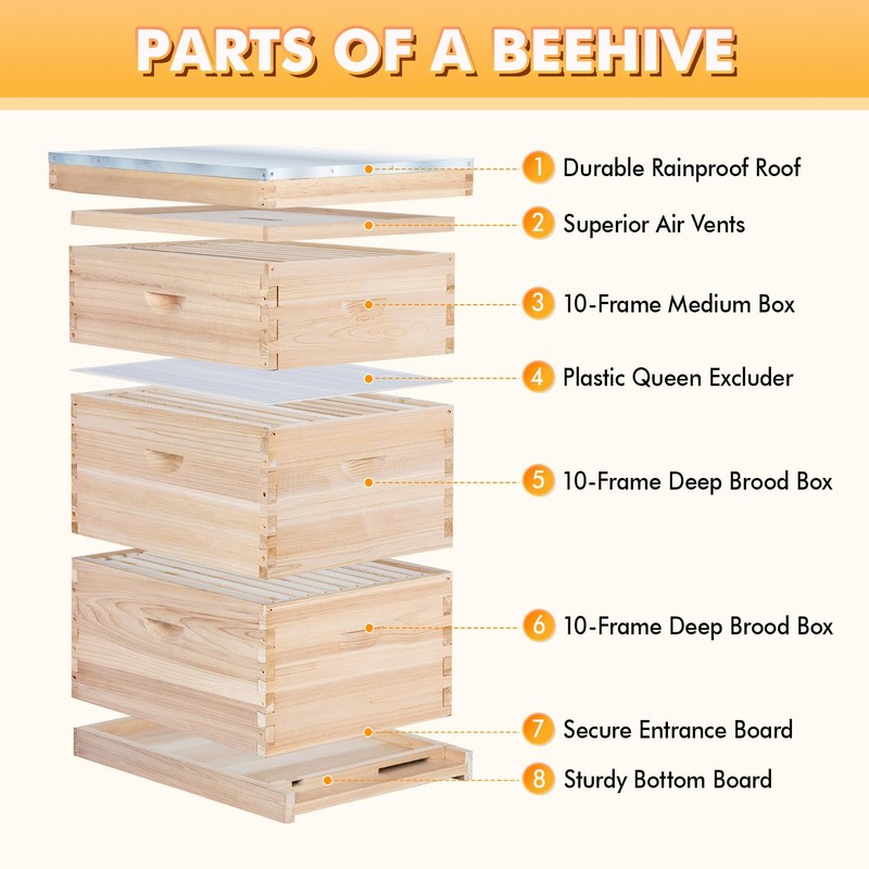 POLLIBEE Bee Hive,10 Frame Bee Hives Boxes Starter Kit, Langstroth