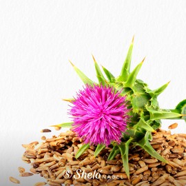 Extracto de cardo mariano liquido Sheló NABEL | Extracto de cardo mariano, alcachofa e hinojo