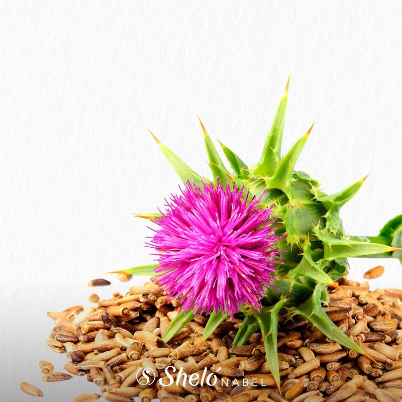 Extracto de cardo mariano liquido Sheló NABEL | Extracto de