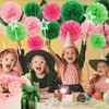Capesaro Pink and Green 12 Pieces Paper Pom Poms Party