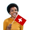 25 Packs Small Switzerland Flags on Handheld Stick，Miniature Swiss Flag