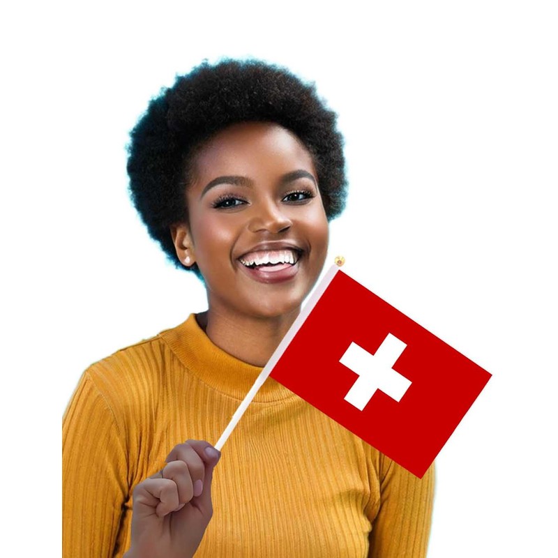 25 Packs Small Switzerland Flags on Handheld Stick，Miniature Swiss Flag