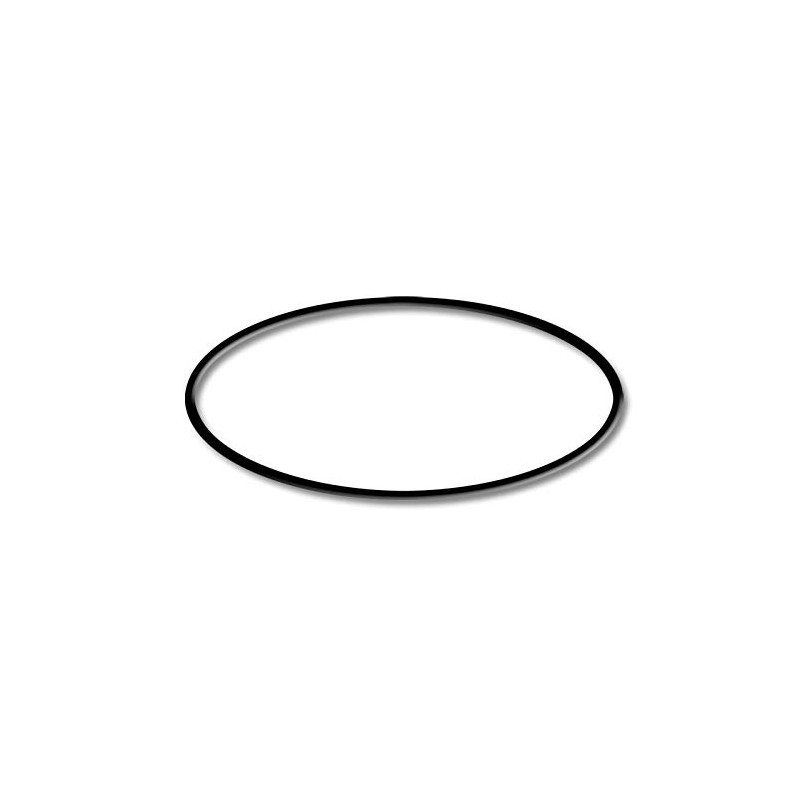 SunSun Swimming Pool Pump HZS-550 Replacement Part O-Ring 3 Pool