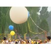 Giant Balloon 8-Color Set 90 cm balbig101