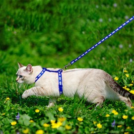 Pack of 2 Adjustable Nylon Harnesses, Cat Lead, Cat's Claw Ladybird Print Harness, Cat Lead, Kitten Collar, Soft Cat Harness with Lead for Kittens, Puppies, Rabbits, Rabbits
