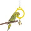 Pet Bird Mirror with Bell Interactive Treat Puzzle Parrot Toy