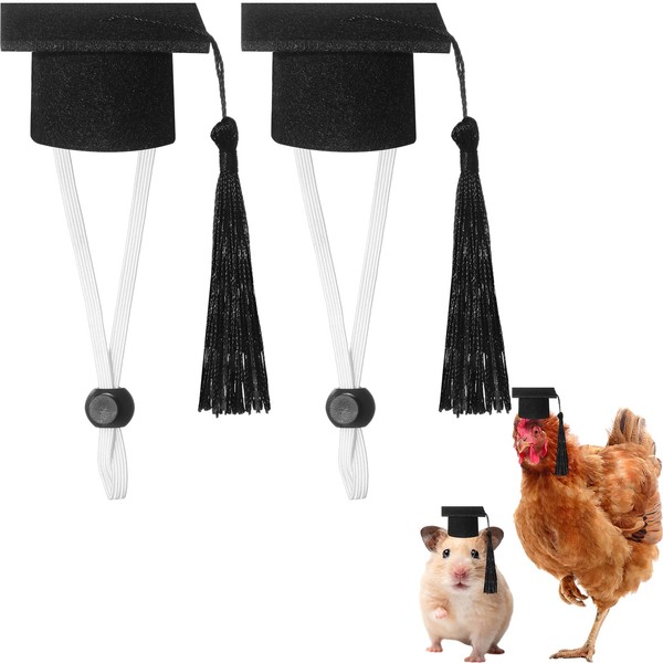 Eccliy 2 Pcs Pet Graduation Caps Mini Bachelor Hats with