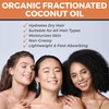 Viva Naturals Organic Fractionated Coconut Oil, 16 fl oz –
