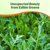 Outsidepride Arugula & Microgreens Seeds - 1/4 lb. Annual, Easy