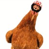 GUAGLL 2PCS Chicken Helmet Decorative Hat Interesting Pet Decorative Accessories
