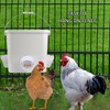 mozoba Automatic Chicken Feeder Set Hanging Chicken Feeder No Waste