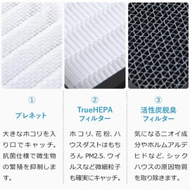 A01A-P100 Dust Collection Deodorizer Filter for A01A-WH A01A-P100 Air Purifier The Pure Filter (A01A-S100 and A01A-D100 Set)