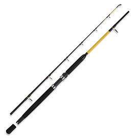 WFT Never Crack Fjordspin Boat Rod 2.40 m 200-600 g