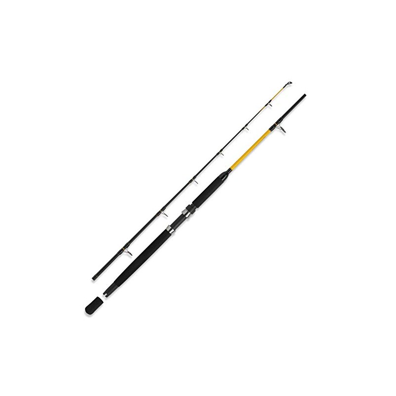 WFT Never Crack Fjordspin Boat Rod 2.40 m 200-600 g