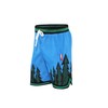 DIOTSR Men's Basketball Shorts, Athletic Graphic Mesh Shorts (Forest-Blue, Medium)
