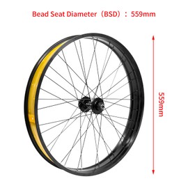 ZTZ 20/26 x 4.0 inch Fat Tire Bike Front Wheel, Aluminum Alloy Bike Rim, 36H High-Strength Fat Bike Wheelset, 135mm Hub, 9mm Quick Release, Disc Brake, Perfect for Snow, Beach, eBikes (26 * 4.0 inch)