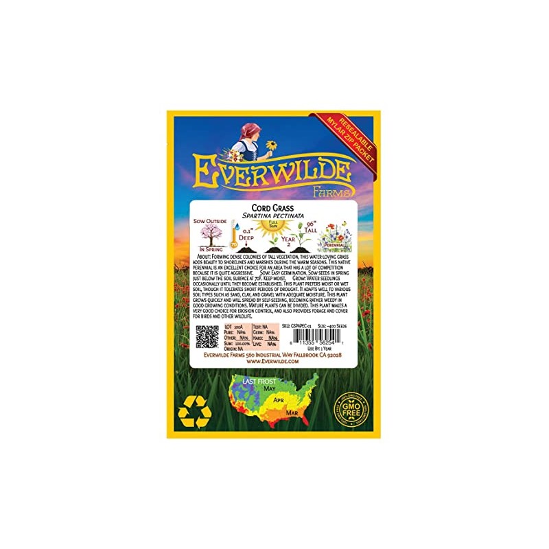 Everwilde Farms - 400 Cord Grass Native Grass Seeds -